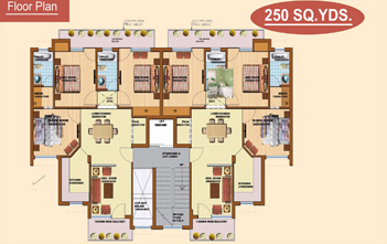 3+1 BHK : 250 sq.yds