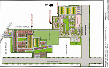 Layout Plans